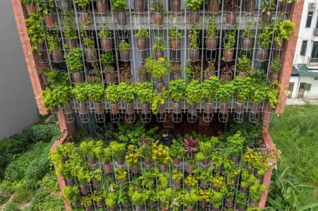 Flying Vegetation